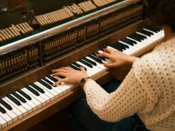 Multi-Instrumentalist Mindset