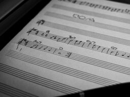 How Multi-Instrumentalists Shape Music and Process in Unique Ways